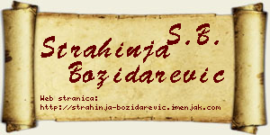 Strahinja Božidarević vizit kartica